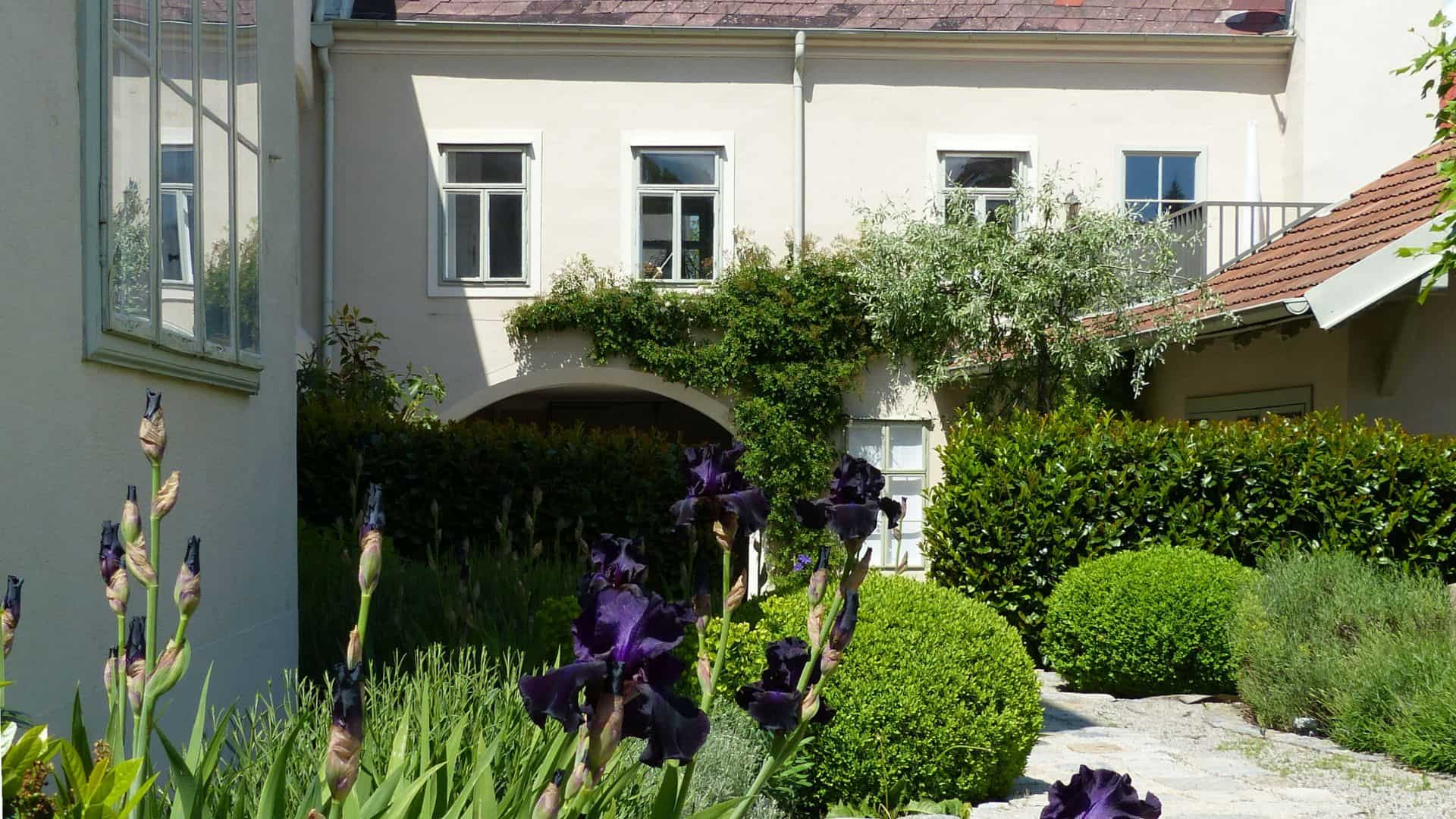 Dr. Langeder Immobilien: Baumpflege Zuständigkeiten innerhalb der Wohnanlage.